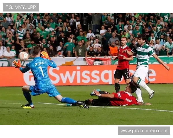 莫尼奎足球明星与朋友们的深厚友谊与合作共赢之路